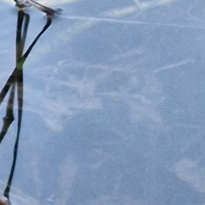 header_kontakt_5_mobil