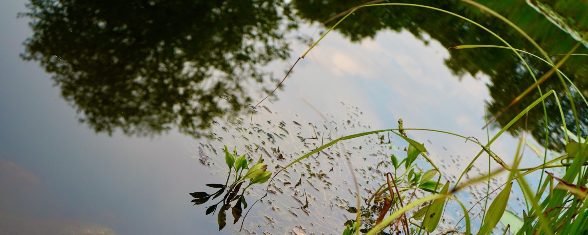 impressionen_header_5