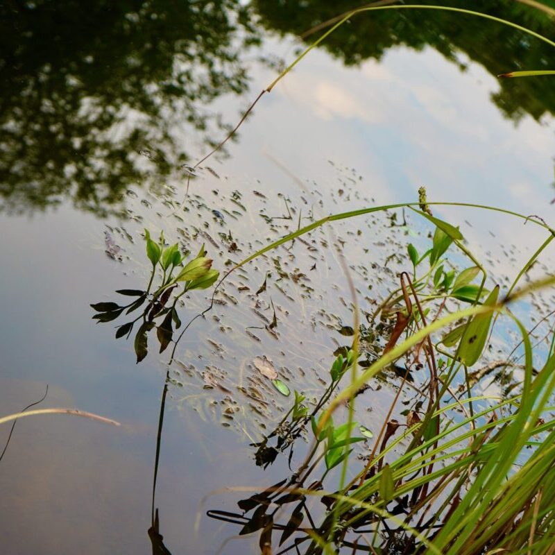 impressionen_header_5_mobil